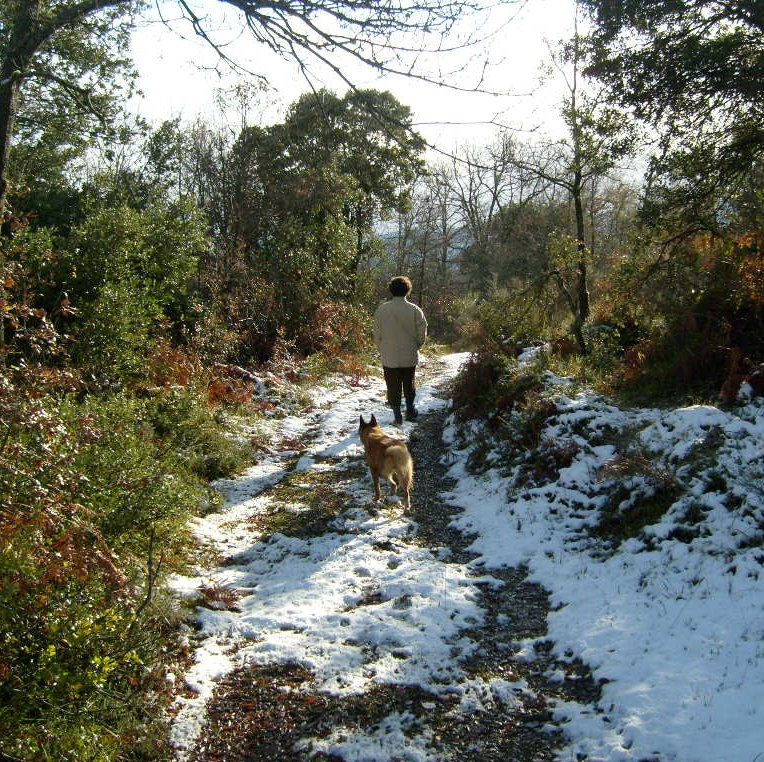 camino de Escao